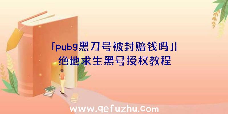 「pubg黑刀号被封赔钱吗」|绝地求生黑号授权教程